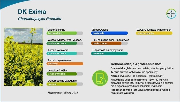 Konferencja prasowa Bayer -nowości w ofercie dla rzepaku Dekalb -