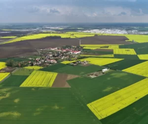 Ochrona dwa w&nbsp;jednym dla zbóż i&nbsp;rzepaku! Raport z&nbsp;pola [WIDEO]