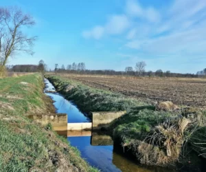 Mała retencja – pieniądze na walkę z&nbsp;suszą