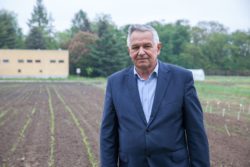 megafol biostymulator o funkcji antystresowej oraz aktywującej wzrost kukurydzy