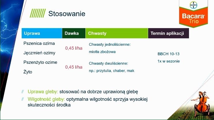 Konferncja polowa - bacara trio 