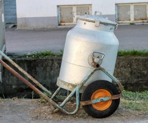 Lista wstydu mleczarni – co to takiego?