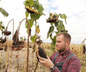 Aplikacja do szacowania szkód w&nbsp;uprawach
