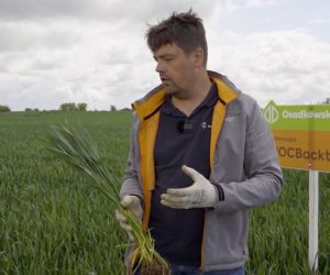 Biologiczna osłona liścia flagowego w&nbsp;technologii MOCBackter