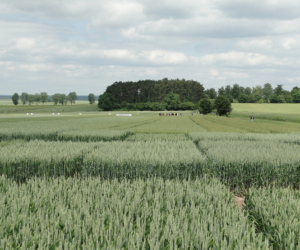 Powszechny Spis Rolny 2020. Zgłoś się do Gminy i&nbsp;zarabiaj pieniądze!