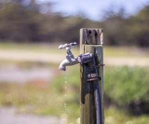 Susza rolnicza w&nbsp;4&nbsp;województwach i&nbsp;aż w&nbsp;11 uprawach!