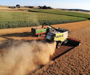 Żniwa jęczmienne 2020 wystartowały! Jakie są pierwsze plony?