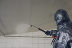 zapobieganie kiełkowaniu ziemniaków sposoby