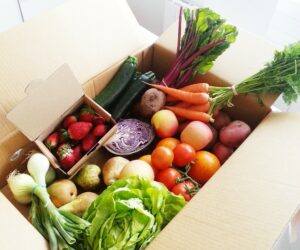 Eksport rolny 2020 wyższy niż przed rokiem pomimo pandemii