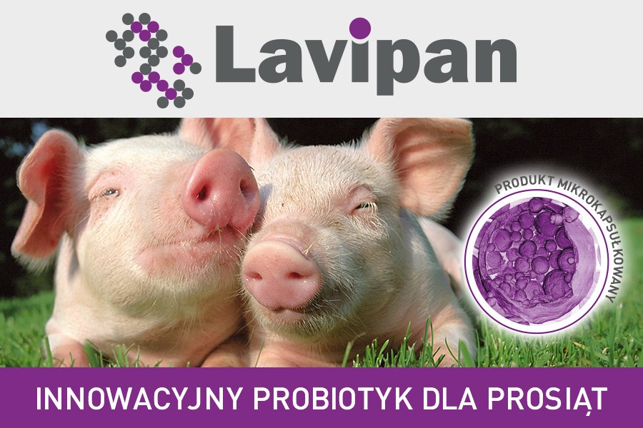 PROBIOTYK DLA PROSIĄT
