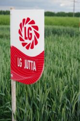 LG Jutta