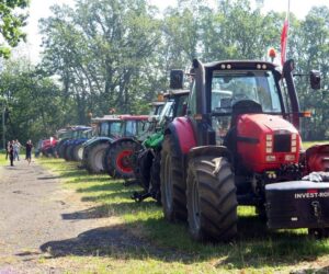 Protest producentów trzody chlewnej w&nbsp;województwie łódzkim!
