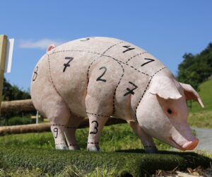 Głęboki kryzys na rynku wieprzowiny