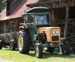 Przekazanie małego gospodarstwa w&nbsp;zamian za rekompensatę