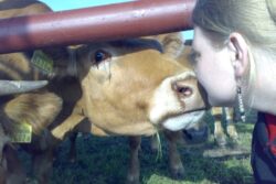 więź hodowcy ze stadem