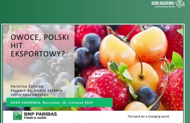 Owoce polski hit eksportowy? Pierwsze spotkanie z cyklu Agro Akademii 2020