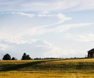 Jaką działalność pozarolniczą założyć? Termin 30 listopada przedłużony