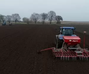 Siew pszenicy w&nbsp;listopadzie. Praktyczne porady prosto z&nbsp;pola