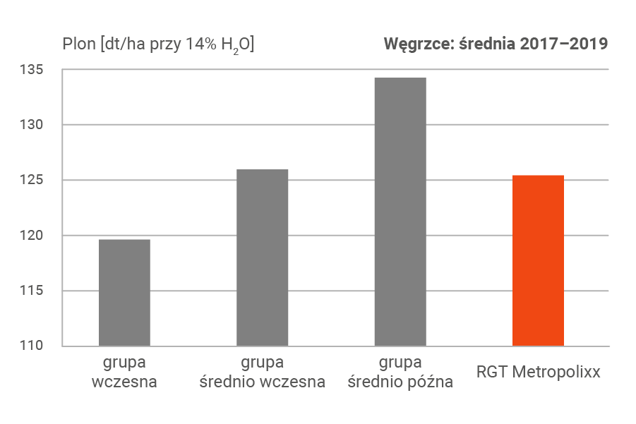 jak plonują wczesne odmiany kukurydzy