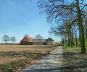 Opodatkowanie drogi dojazdowej do gruntów rolnych