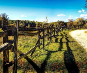 Podatek za drogi w&nbsp;gospodarstwach rolnych