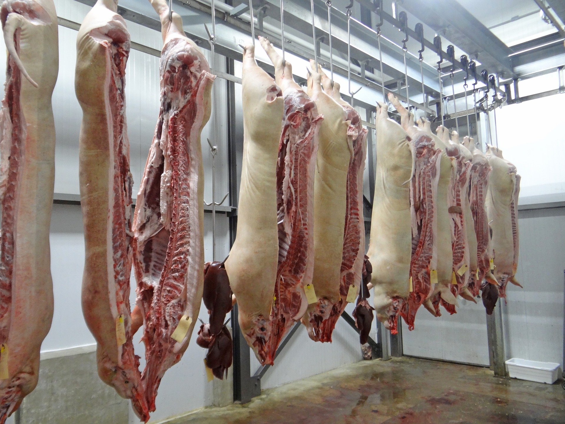 Wyzwania branży mięsnej – drugie spotkanie z&nbsp;cyklu Agro Akademii