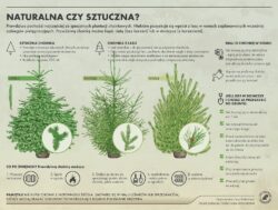Aktualności rolnicze- Przygotowania do Świąt