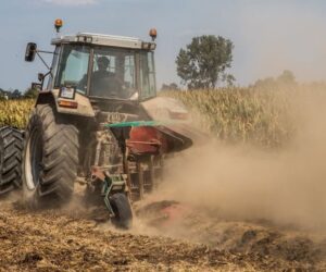 Miniony rok nie przyniósł w&nbsp;rolnictwie większych zmian, chociaż bywało też gorąco