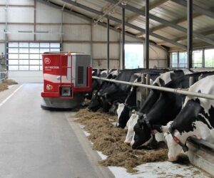 Ceny mleka 2021 spadły. Koniec dobrej passy? Sprawdź!