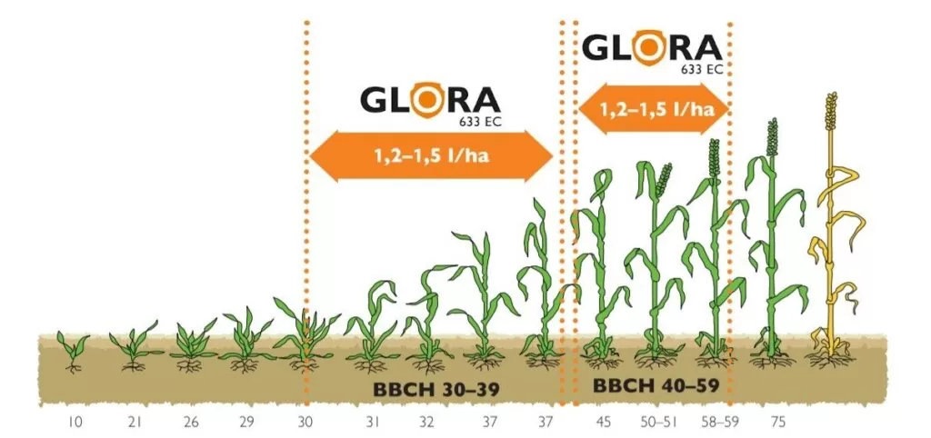 Agrofakt - Glora 633 EC stosowanie, dawki