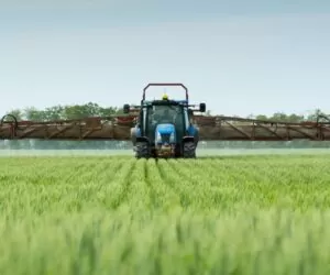 GLORA 633 EC – nowy fungicyd ku chwale zdrowego zboża