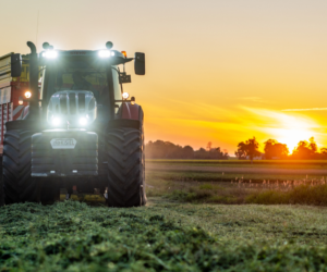 Sytuacja gospodarstw rolnych w 2020 roku. Ocena rolników