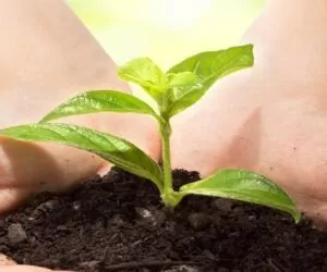 Aktualności rolnicze- Biostymulatory i produkty do ochrony biologicznej