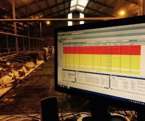 Inwestycje rolnicze uciążliwe dla środowiska? KRIR wyraża sprzeciw