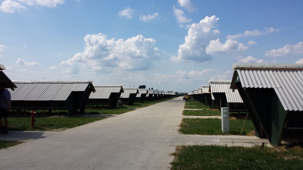 Odszkodowanie za COVID-19 u&nbsp;norek – czy jest na to szansa?