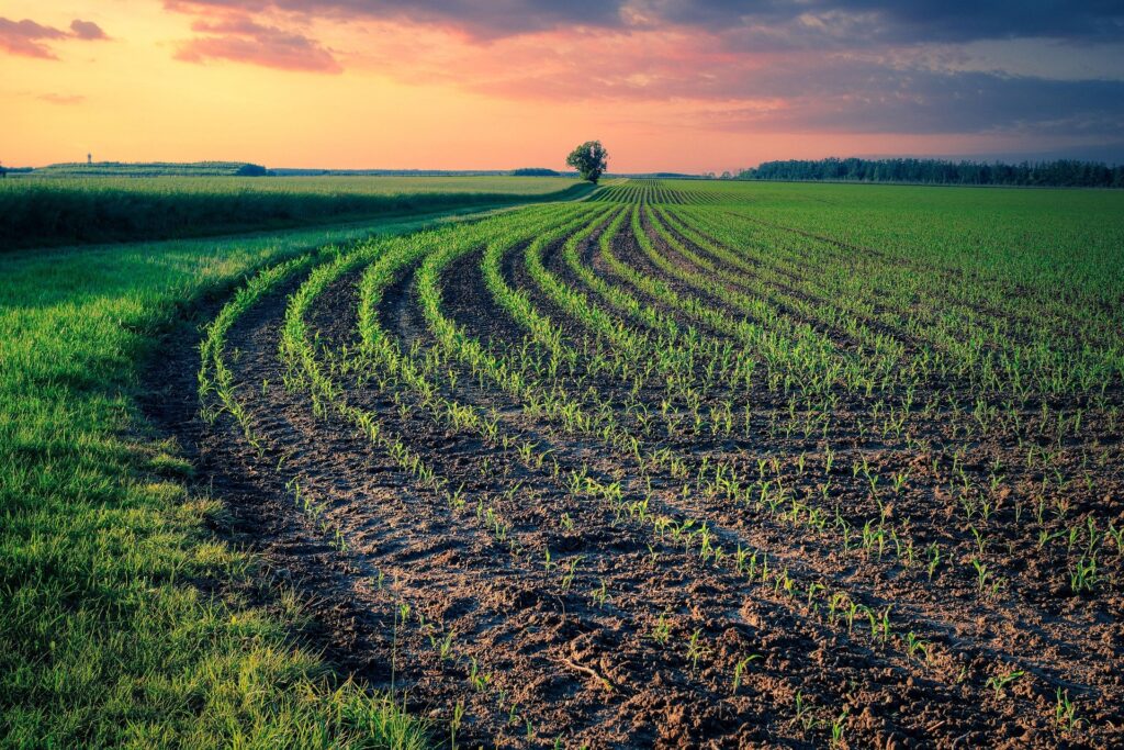 Aktualności rolnicze- Sprzedaż państwowej ziemi