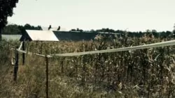ogrodzenie elektryczne pomelac