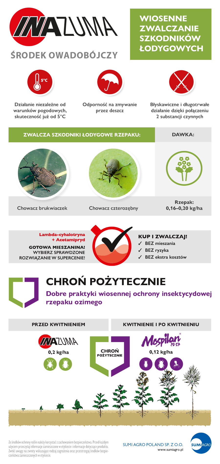 szkodniki rzepaku ozimego