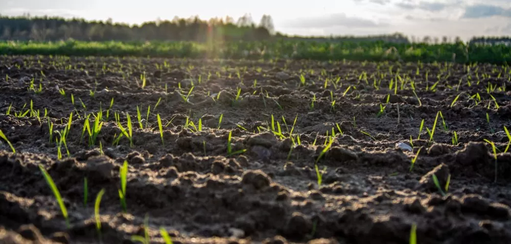 Aktualności rolnicze- Ubezpieczenie upraw 2021