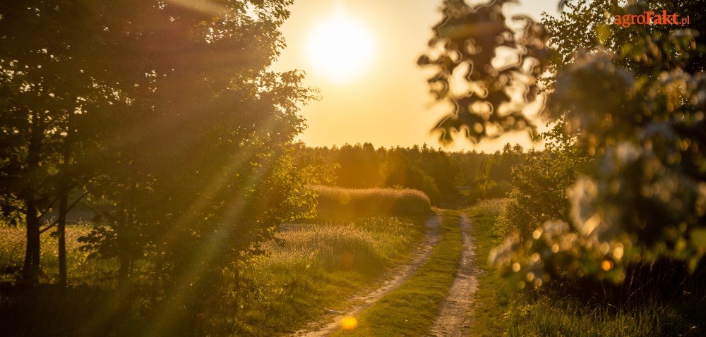 Wsparcie unijne dla rolników. Jaka pomoc dla małych gospodarstw?