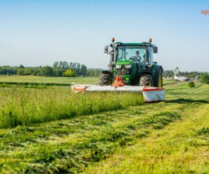 Koszenie łąki i inne usługi – jakie ceny w 2021? Sprawdź!