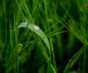 Wnioski do programu Moja woda – zbliża się końcowy termin!