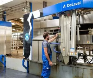 Roboty udojowe – technologia dla ulepszenia hodowli