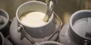 LKS w&nbsp;mleku. Jak zmniejszyć ich ilość?