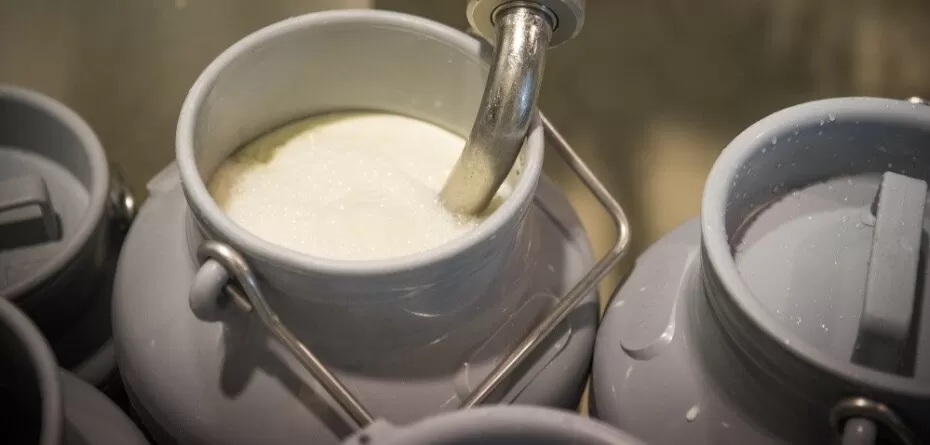 LKS w&nbsp;mleku. Jak zmniejszyć ich ilość?