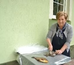 ryby słodkowodne w kuchni