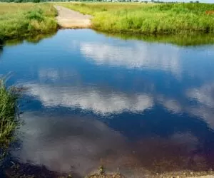 Modernizacja w&nbsp;obszarze nawadniania – kiedy złożyć wniosek?