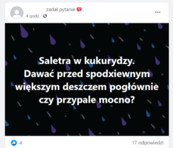 wirtualne doradztwo