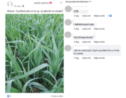 wirtualne doradztwo