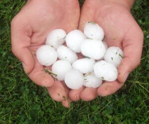 Pomoc po gradobiciu trafi do rolników? Jest odpowiedź ministra rolnictwa!